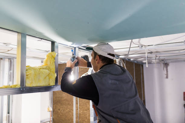 Best Insulation Installation Services in Bement, IL