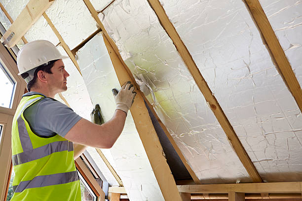 Best Insulation Maintenance and Repair in Bement, IL